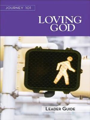 cover image of Journey 101